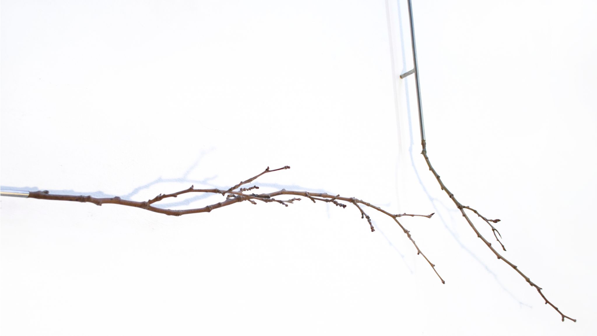 2025 DM port.para web. P35